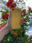 iPhone Xr 256GB Yellow Ref iPoster.ua